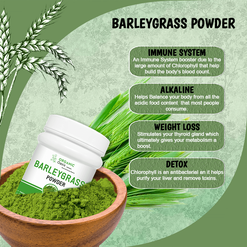 Organic Oasis Organic Barleygrass Powder Health Benefit